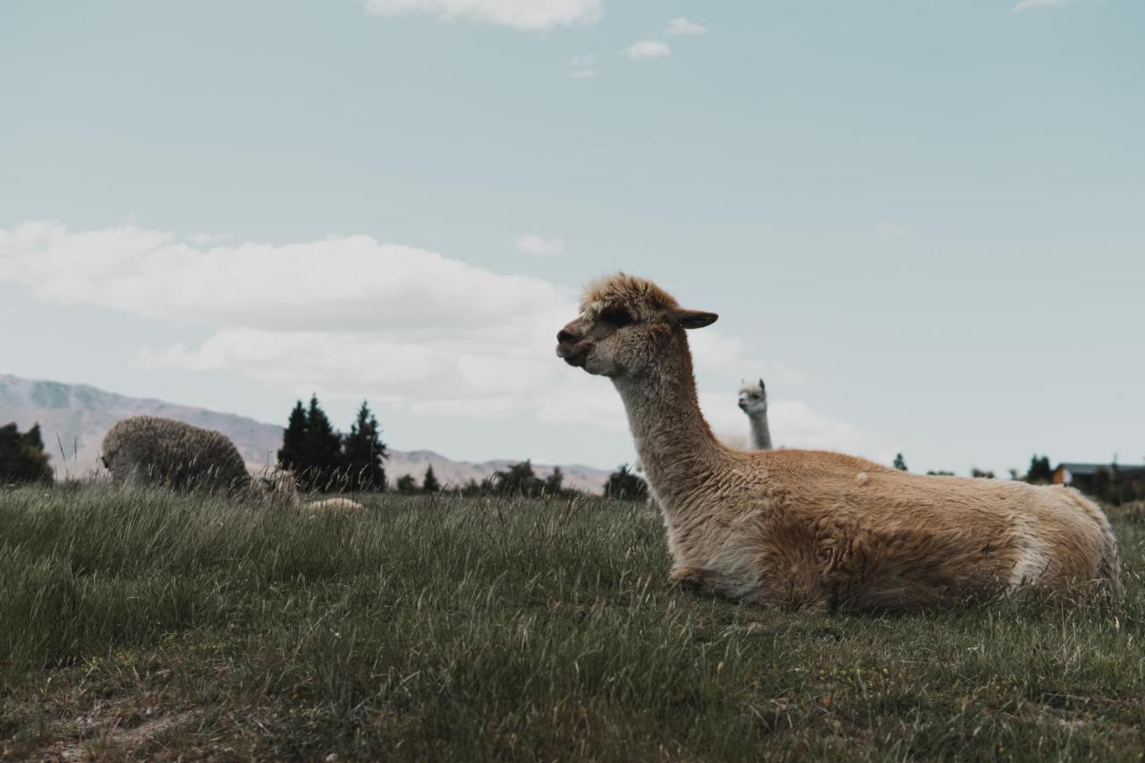 Alpine Lodges Lake Tekapo Luaran gambar